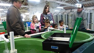 Visitors get up-close view of fish hatchery operations
