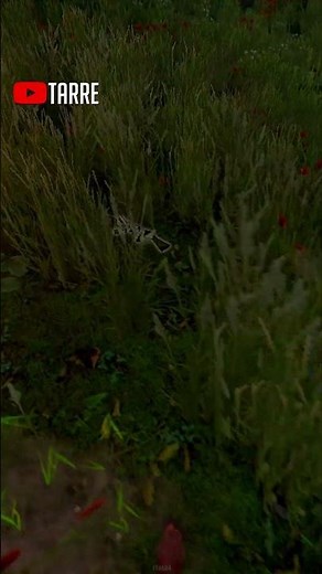 Improve Weapon Visibility NOW With Simple Settings Adjustments