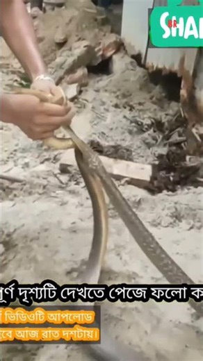 #comedy #funny #viral #trending #viralreactor 🤣