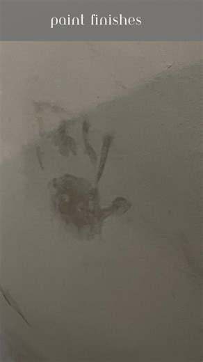 When choosing your paint finish, be familiar with the different finishes… * High -Gloss Paint Finish * Semi-Gloss Paint Finish * Satin Paint Finish * Eggshell Paint Finish * Flat / Matte Paint Finish The higher the sheen, the higher the shine and the higher the shine, the more durable it will be. High-Gloss Paint Finish: Pros/ Most reflective, Extremely durable, Easy to clean Cons/ Can make flaws extra noticeable, you Can not touch up, if you need to touch up, the entire surface will need to be 