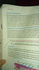 Cell BiologyOsmosis and Guard cellsStomata (openings) in lea... | Filo