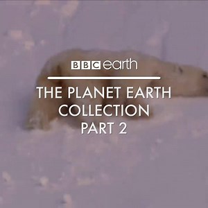 Some of our top moments from Attenborough's original Planet Earth 💚 | BBC Earth