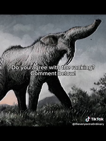 Top 10 Most Bizarre Animals on Earth