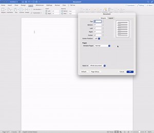 Balloon Border Letterhead Laser & Inkjet Printer Paper (100 Pack)