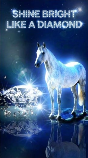Shining brighter than a diamond? Ione lights up the showjumping arena