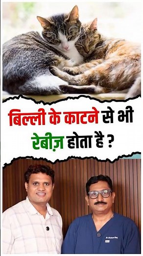 Can Cat Bites Cause Rabies? | Dr. Gautam Unny Explains the Truth About Rabies in Cats