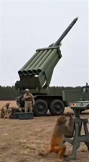 "Hydraulics are Steady..." 🛠️ Famous Last Words! 💀🐒 #military #shorts