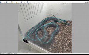 【实用分享】量蛇软件Snake Measure Tool使用教程