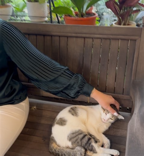 Diana Danielle on Reels