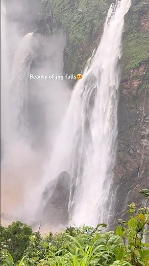 Jog water falls in Karnataka | Witness the Beauty of Jog Falls 🌊 | Nature’s Wonder#shendiaries
