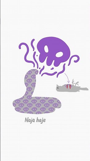 How do venomous snakes prevent poisoning themselves?