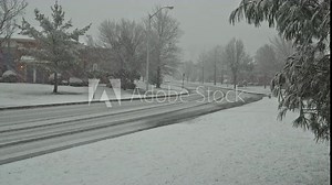 NY USA January 13, 2019: Snow small town fall view of the snow storm the sleeping areas of spruce in frost on a winter day
