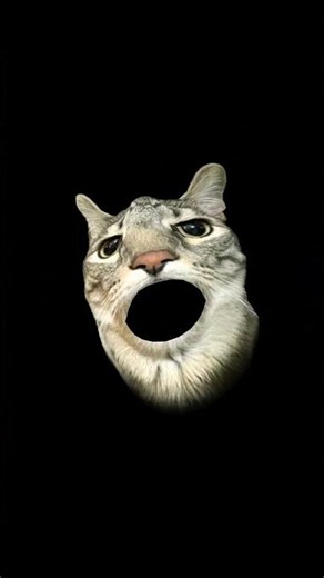Alien, singing, cat singing cat??￼