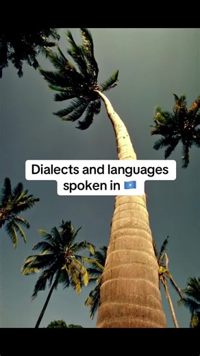 Calling madhonte basterdised comes off as negative ,my apologies on my wording .and another name for the dialect is af-ashraf or af Marko and it’s spoken in merka and parts of Xamari specifically in shingaani although the dialect spoken in Xamar has more maxatiri vocabulary compared to the one spoken in merka and the interiors which has more maay and chimmini to a degree .#somalitiktok #eastafrica