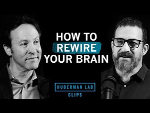 How to Rewire Your Brain at Any Age | Dr. David Eagleman & Dr. Andrew Huberman