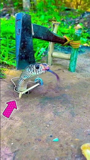 Snake Triggered Trap – Suspense Music 🔥