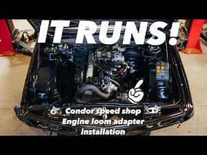 BMW E28 M20B25 Swap - Engine harness adapter and first fire up!