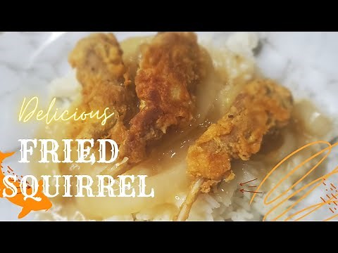 Best Squirrel Recipe- Fried Squirrel with White Rice and Onion Gravy