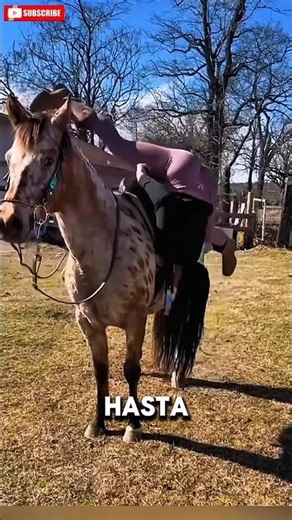 Weird ways to get on a horse 😨 #animals #horse #usa #horses #funnyanimals #farm #ranch #fyp