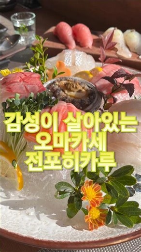 [부산 전포동 맛집] 전포히카루 오마카세 🍣 신선함 끝판왕, 가성비 오마카세의 정석!