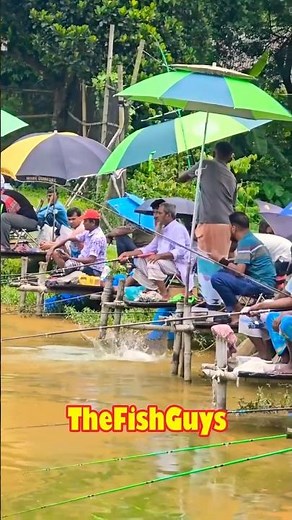 Catching Fish Using Fishing Rod in Lake Murray South Carolina USA #Shorts