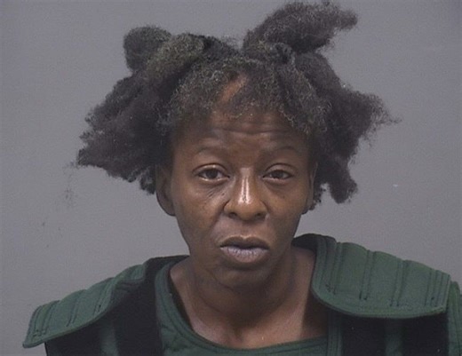 Youngstown woman found guilty in child endangerment case