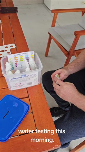 Aquaponics Update: Approaching Harvest Time!