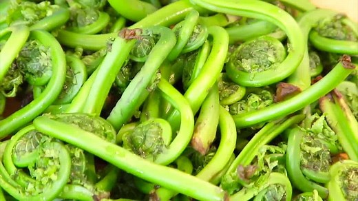 3.7K views · 55 reactions | Have you ever tried a Fiddlehead fern...