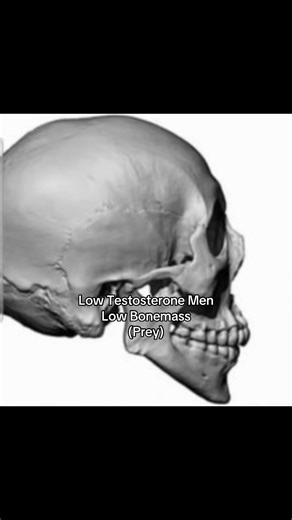 Understanding Low vs High Testosterone in Men