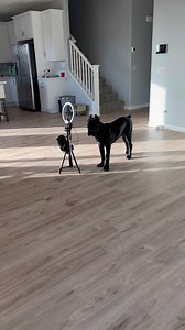 Bane the Content creator 😂 | Raising Bane