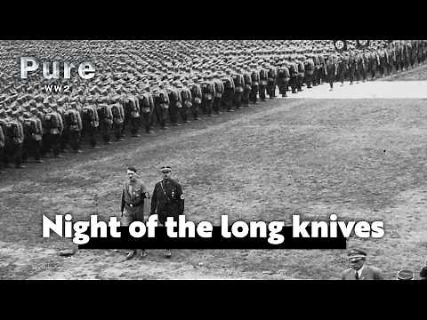 Night of the long knives: Hitler's rise to power | PURE WW2