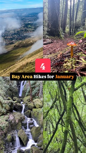 Divya | California Travel, Outdoors & Hiking on Instagram: "January 2026 hiking recs are here! 🌿 I love getting out in January - waterfalls, cloudy weather, and mushrooms after a rain make the trails so dreamy! and what could be a better way to start the year! Here are 4 trails to check out this January. Remember to leave no trace and stay on trails while exploring the outdoors 🌿 😶‍🌫️ Mission Peak trail, Fremont. Difficulty - Hard. Dogs allowed on leash. Winter is the only time I’d ever reco
