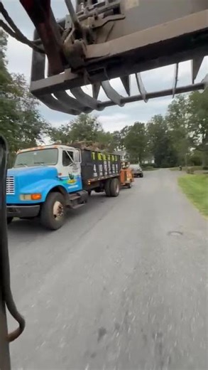 Another day at the Office #treeremoval #treeservice