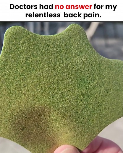 🚨 Dull, Achy Pain in the Back? Fix your back pain with these potent herbal patches! ✅ Eliminate back pain the healthy way (no more painkillers) ✅ Avoid expensive physical therapist bills ✅ Regain mobility & a healthy lifestyle ⬇️ Patch Up & Find Relief ⬇️ https://massage-lab.com/products/flexiback | MLab