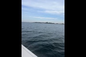 2022-robalo-r242-center-console-9981990