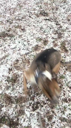 RandomPerson (@randomfireperson)’s videos with Issa Snow Day - Nick Kosir