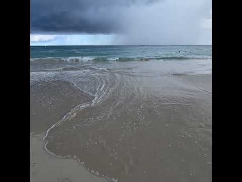 A QQQ Trading Bot Project For Fun