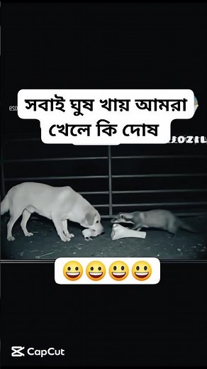 সবাই ঘুষ খাই আমরা খেলে কি দোষ🤣🤣🤣