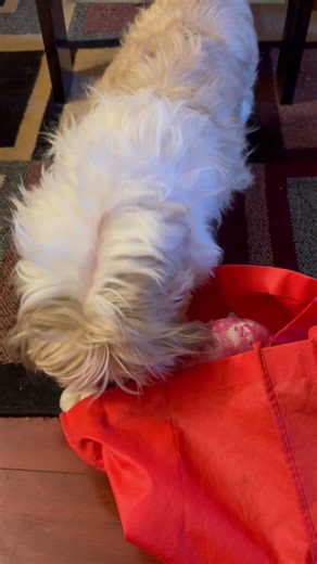 “Toy Shopping at home 🧸”