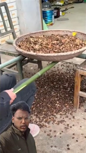 Unbelievable! This Handmade Chinese Machine Separates Seeds Perfectly 🤯