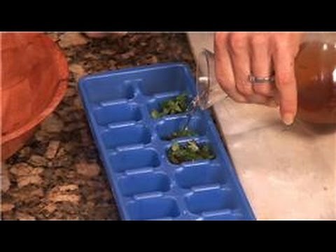Cooking With Basil : How to Freeze Basil Leaves in an Ice Cube Tray