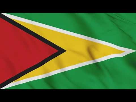 Guyana Flag Waving Animation / free 4k stock footage