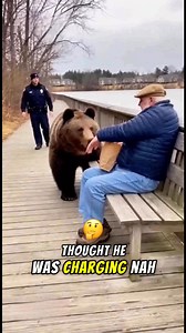 For a moment, this felt very real… 🐻 Then calm experience changed everything. Imagined with AI – Amazing Stories US 👉 Follow Amazing Stories US for more real-looking moments. #grandpa #bears #UnexpectedMoment #WildlifeStory #AmazingStoriesUS | Amazing Stories US