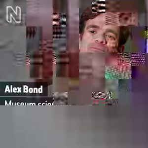 Did you know birds can sleep while they're flying? It's World Migratory Bird Day. Some birds travel incredibly long distances to find warmer areas and more food, and they can do so without stopping to rest. We asked Dr Alex Bond, the Museum's Senior Curator of Birds, to explain how this amazing ability works. | Natural History Museum, London