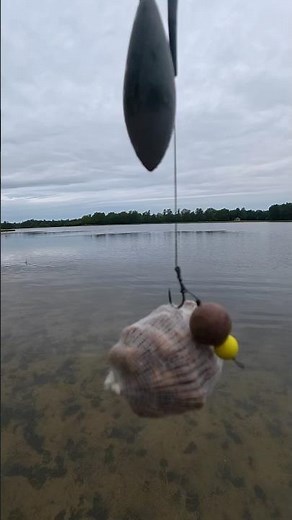Carp fishing with a Boilie and PVA Stick #Karpfenangeln #CarpFishing #PVAStick #UnderwaterFishing