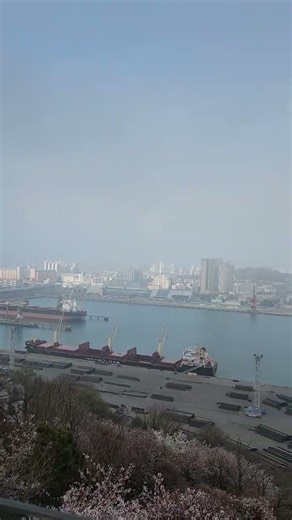 월미공원 벚꽃길 #월미공원 #벚꽃명소 #인천여행 #인천월미도