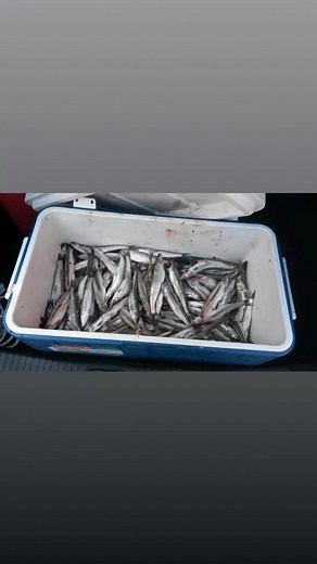 Lawrence Roberts on Reels