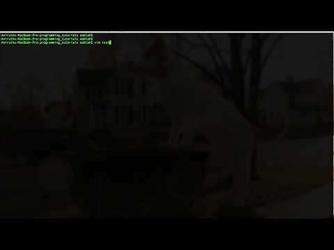 Enable mouse in Vim editor