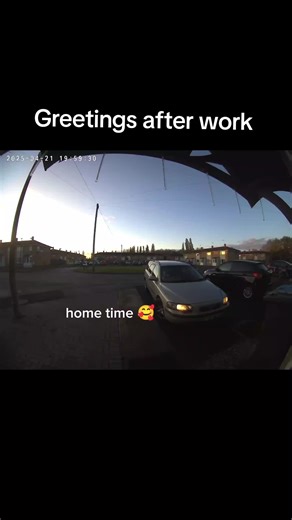 Love coming home to a warm welcome from our cats 🩵 Oscar will run miles as soon as he hears us coming and will always meet us at the car 🥰 .@Soph💜 #catsoftiktok #cattok #wholesome #catfamily #catlife #cute #playfulcat #family #love #tuxedocat #greetings #hometime #happy #kittensoftiktok #kittentok #sweet