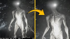4.8K views · 77 reactions | Trail Camera Captures What No One Was Supposed To See! | Aliens UFO Caught on Camera | Facebook